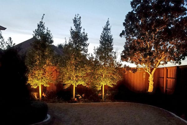 Well-lit trees and fence in backyard at night