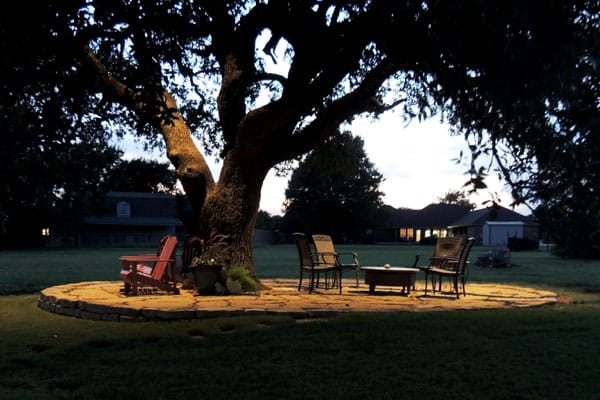 Lighted tree and patio furniture on stone slab in backyard