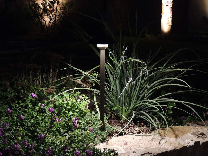flowers and plants lit up with garden lighting