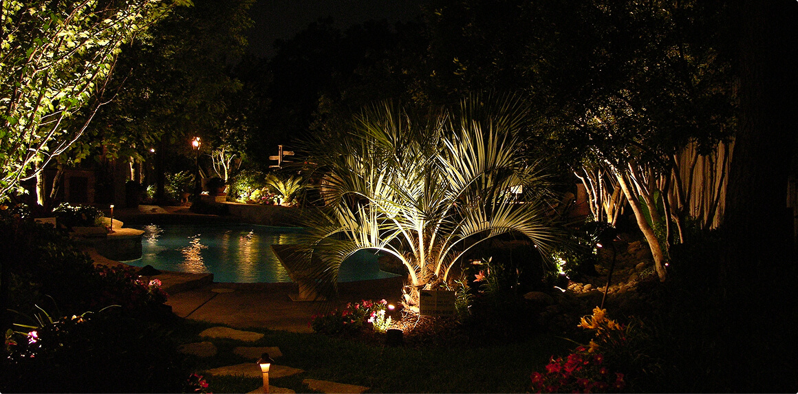 A lush backyard garden and swimming pool at night, warmly lit by landscape spotlights highlighting a central palm tree, surrounding foliage, and garden path lights.